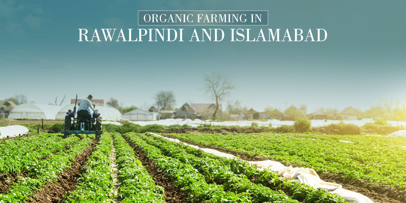 organic farming in Rawalpindi Islamabad