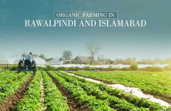 organic farming in Rawalpindi Islamabad