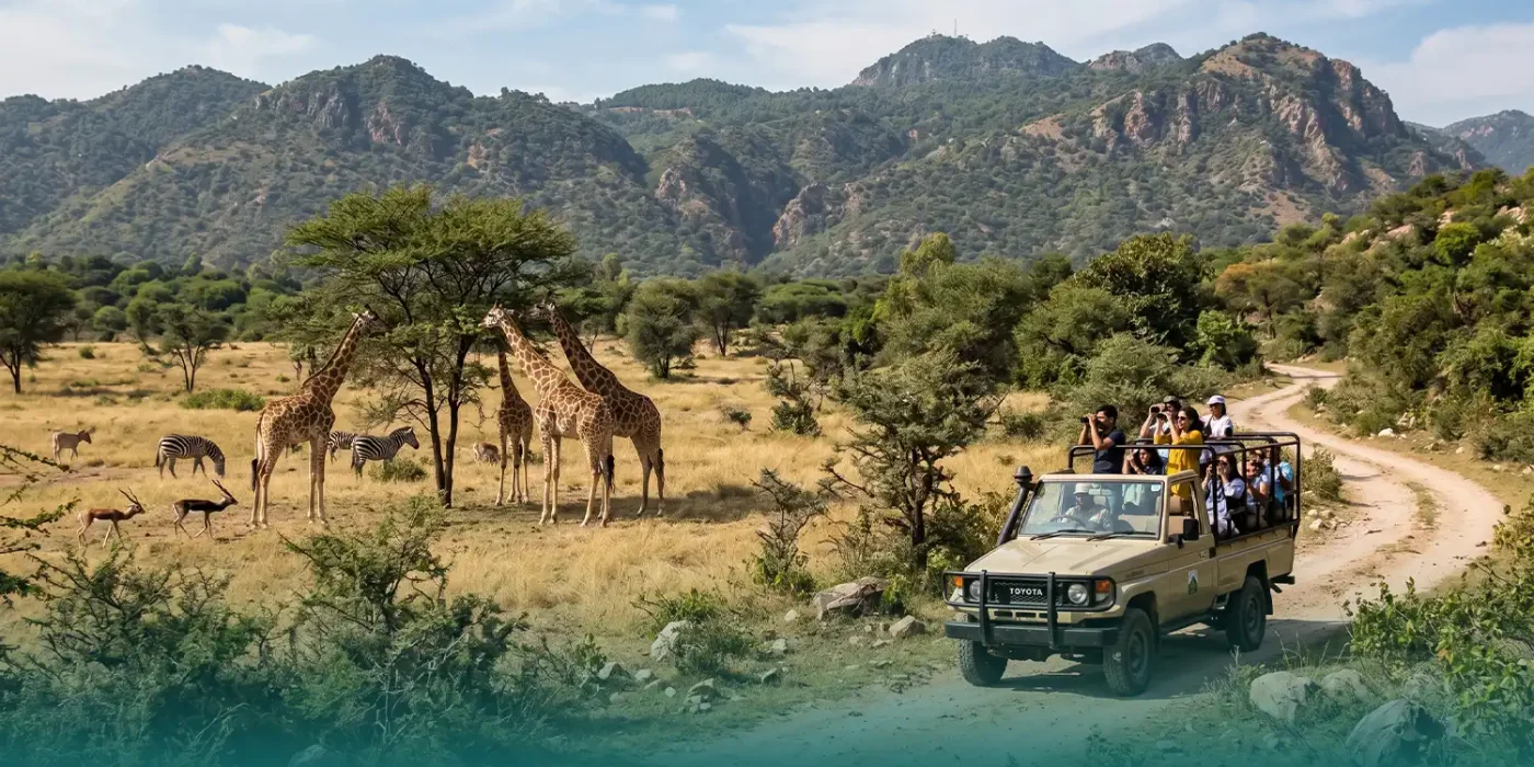 Safari Parks in Rawalpindi-Islamabad
